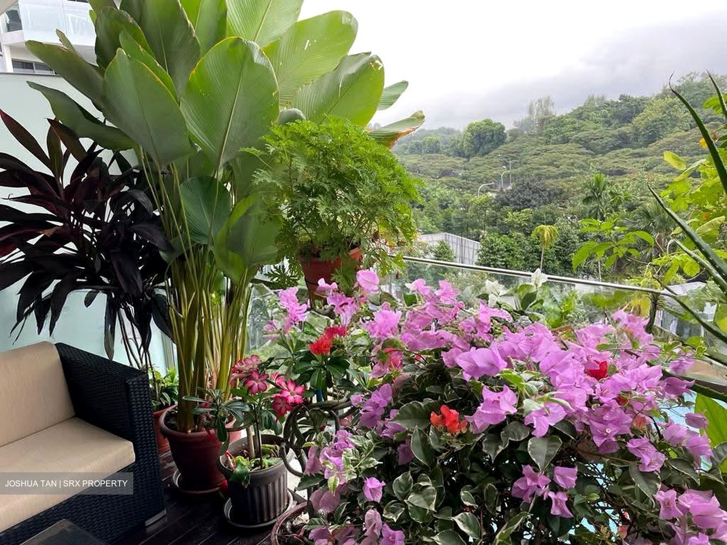 SilverSea (D15), Condominium #569605721